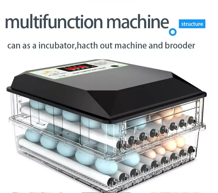 64 Eggs Poultry Egg Incubators Hatching Machine Automatic Chicken Egg Incubator for Sale