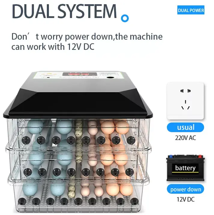 64 Eggs Poultry Egg Incubators Hatching Machine Automatic Chicken Egg Incubator for Sale