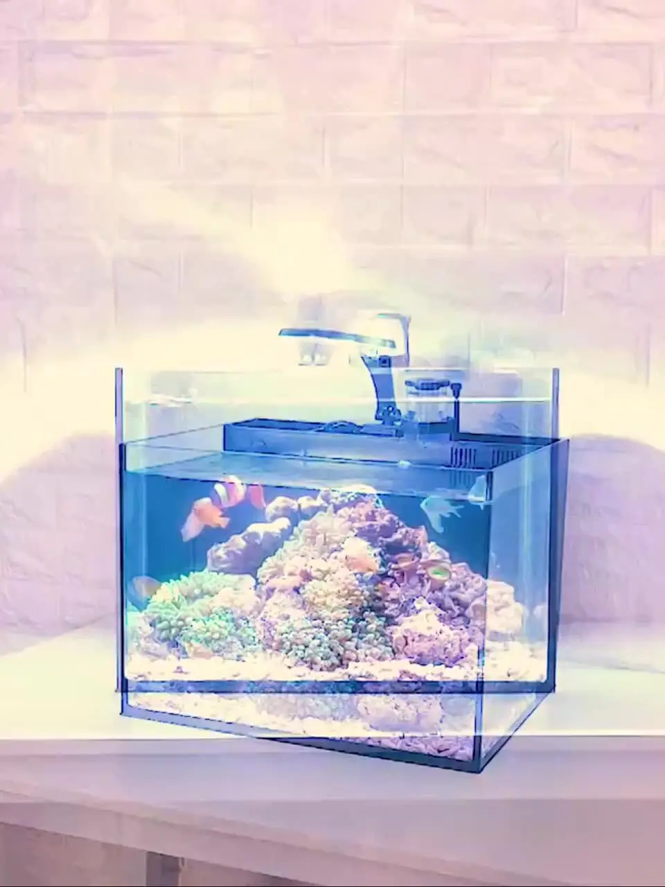 Ultra Clear Glass Mini Salt Water Marine Aquarium Fish Tank for Marine