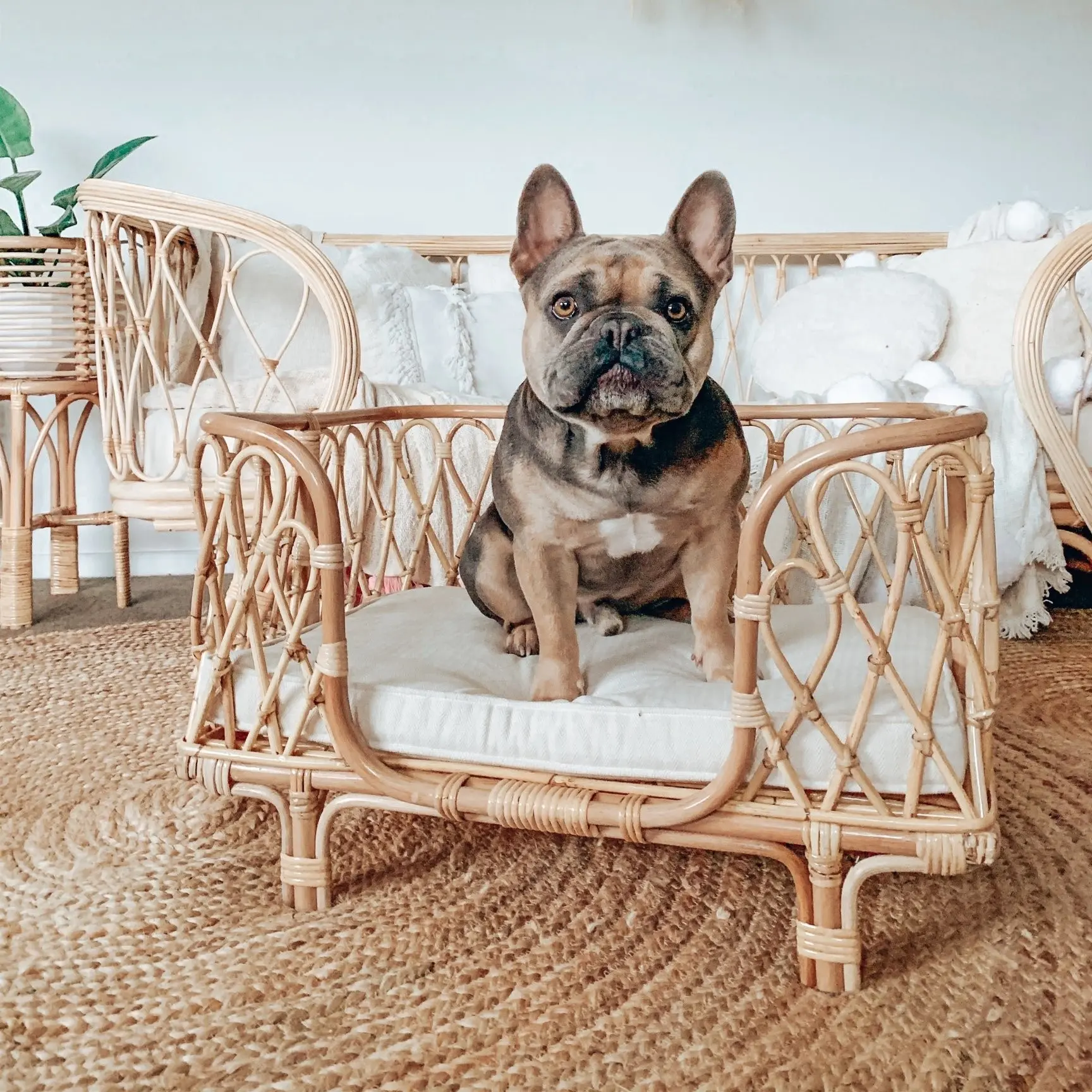 Wholesale Natural Handmade Rattan Pet Bed Top Products Best Sellers Rattan Beds for Pets Dogs Cats