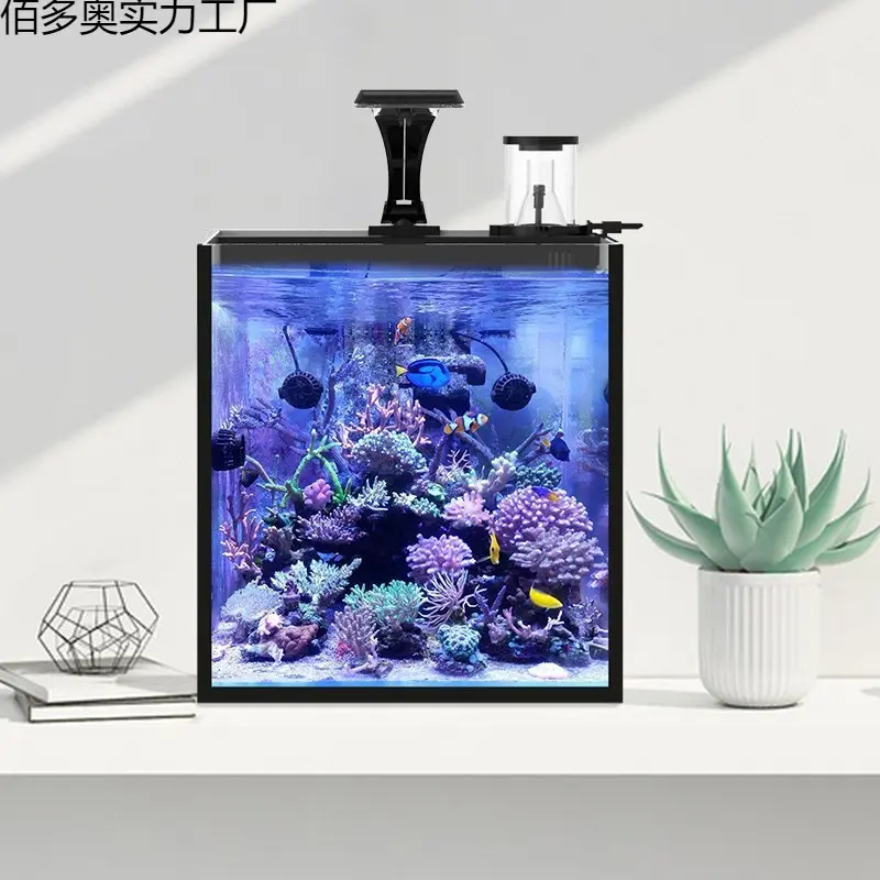 Ultra Clear Glass Mini Salt Water Marine Aquarium Fish Tank for Marine