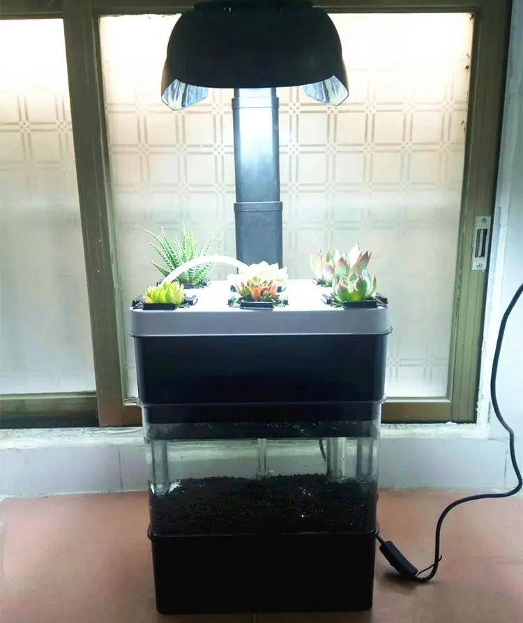 Decorative Aquaponic Fish Tank for Indoor Veggies Planting and Fish Growing with LED Lights