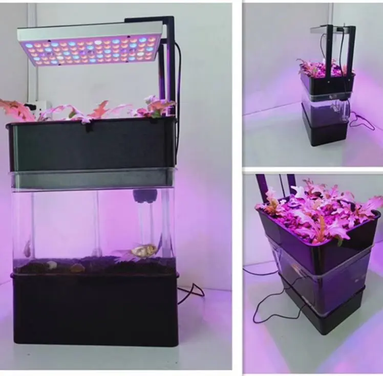 Decorative Aquaponic Fish Tank for Indoor Veggies Planting and Fish Growing with LED Lights