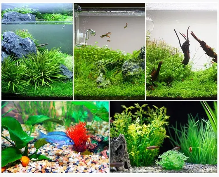 High Performance Open Porosity  Alumina Ceramic Bio Cube for Fish Tank