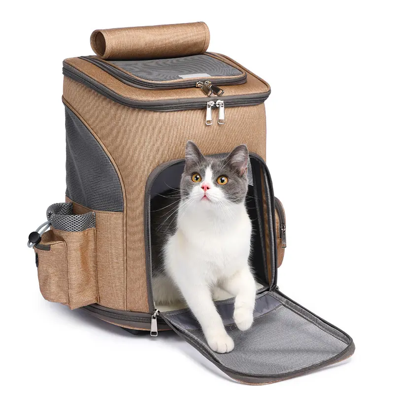Large Capacity Portable Pet Backpack Adjustable Lightweight Breathable Square Zipper for Outdoor Carrying Pets Made Plastic