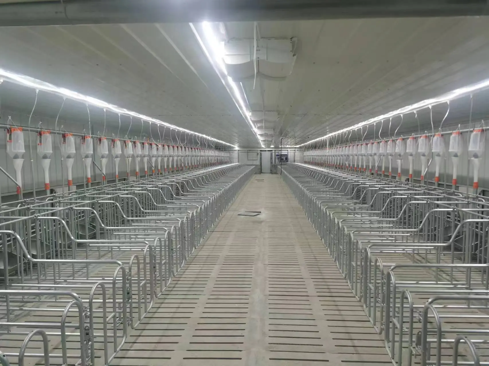 pig feeding equipment used pig farm equipmentautomatic pig feeding system