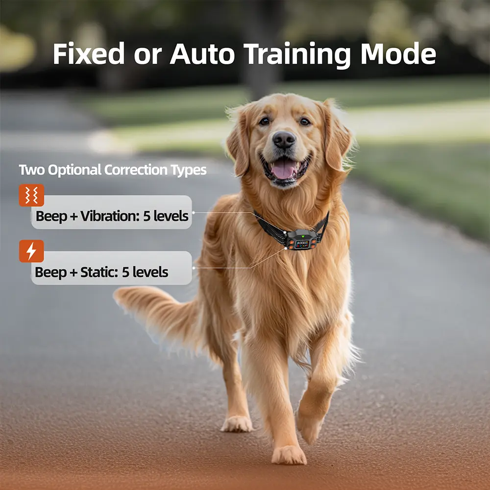 Outdoor Dog Boundary System Rechargeable Invisible Fence for Dogs with Collars Wireless Pet Fence