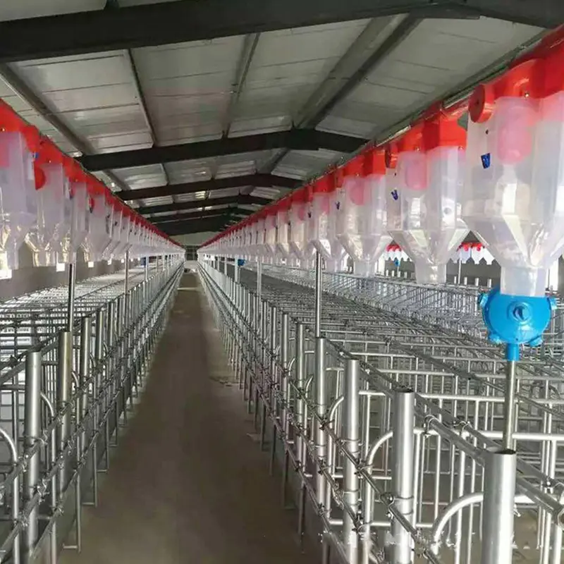 Farm Automatic Pig Feeding System Pig Automatic Feeding Equipment