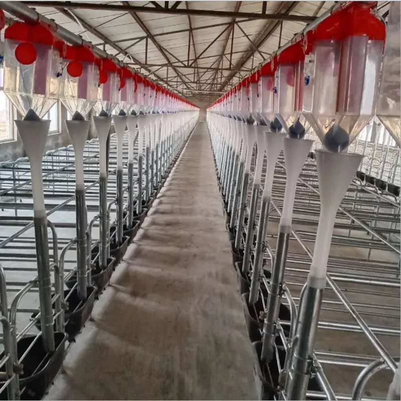 Farm Automatic Pig Feeding System Pig Automatic Feeding Equipment