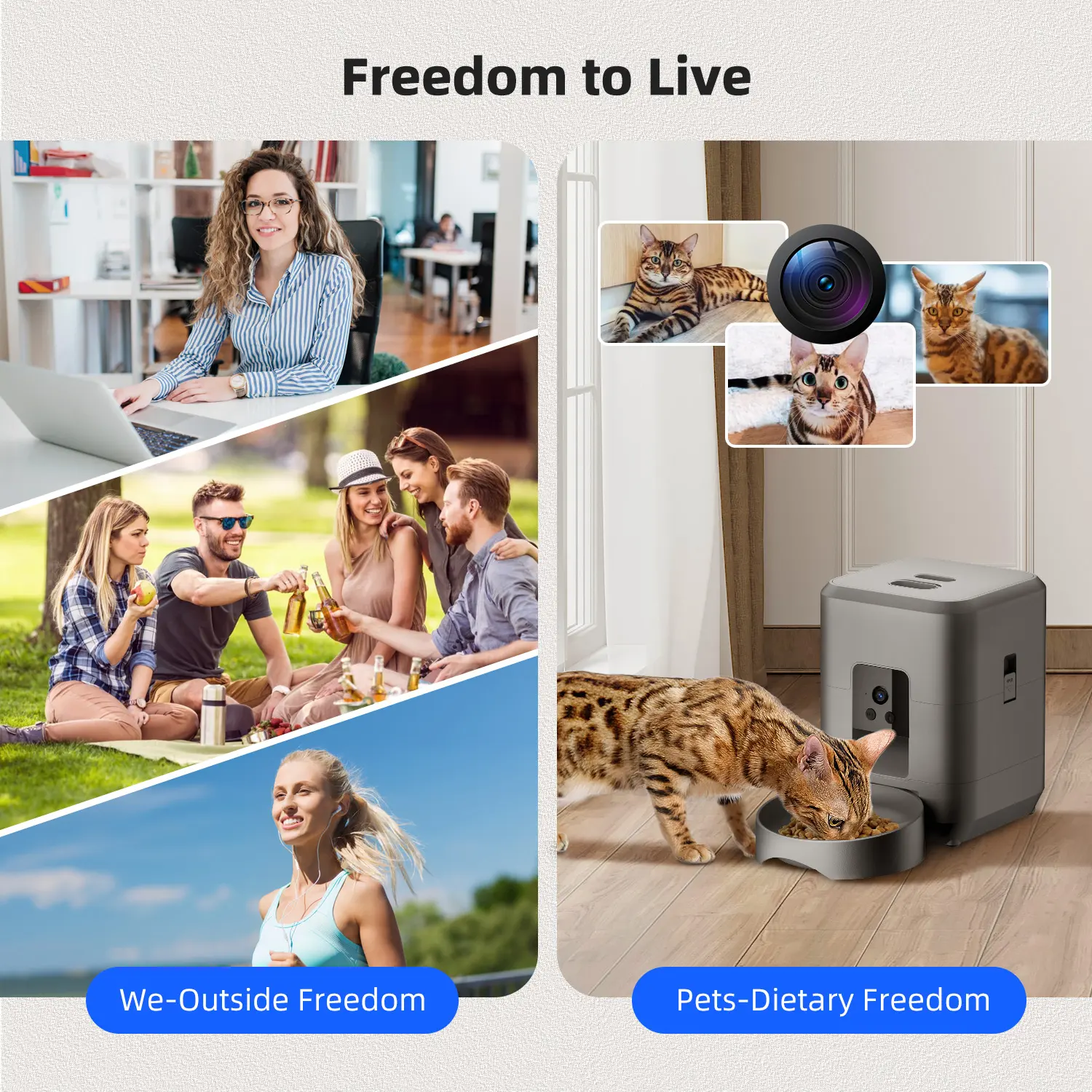 2L Automatic Cat Feeder with Camera Video with Night Vision 2.4G WiFi Automatic Pet Feeder Smart Dog Feeder Cat Food Dispenser