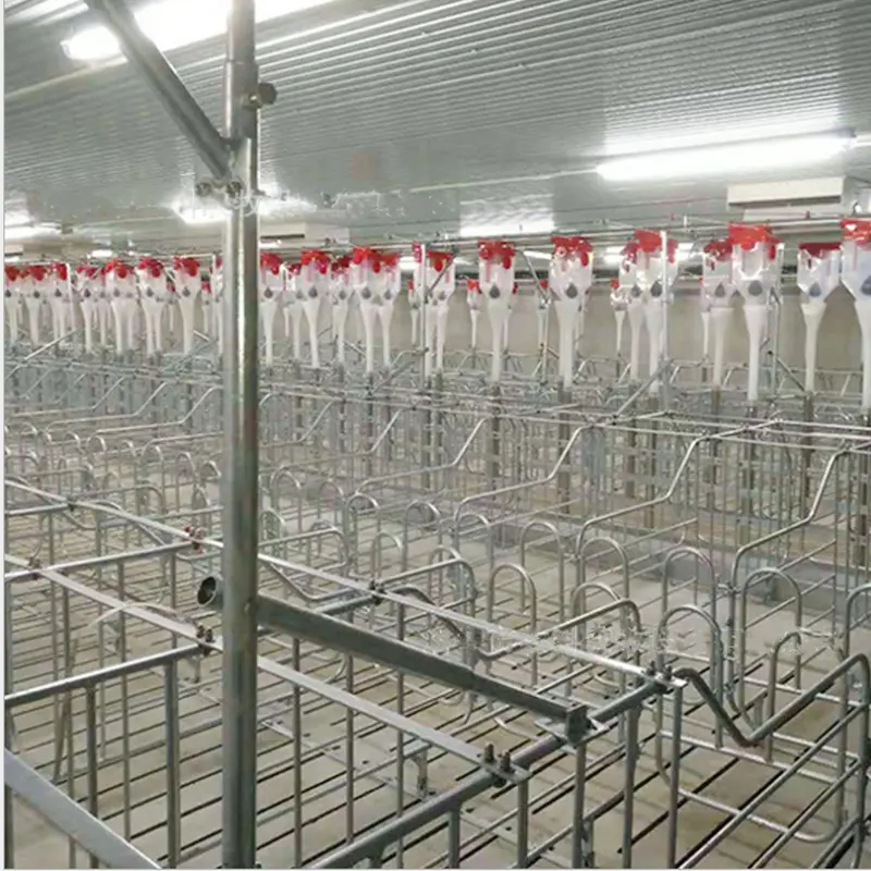 Farm Automatic Pig Feeding System Pig Automatic Feeding Equipment