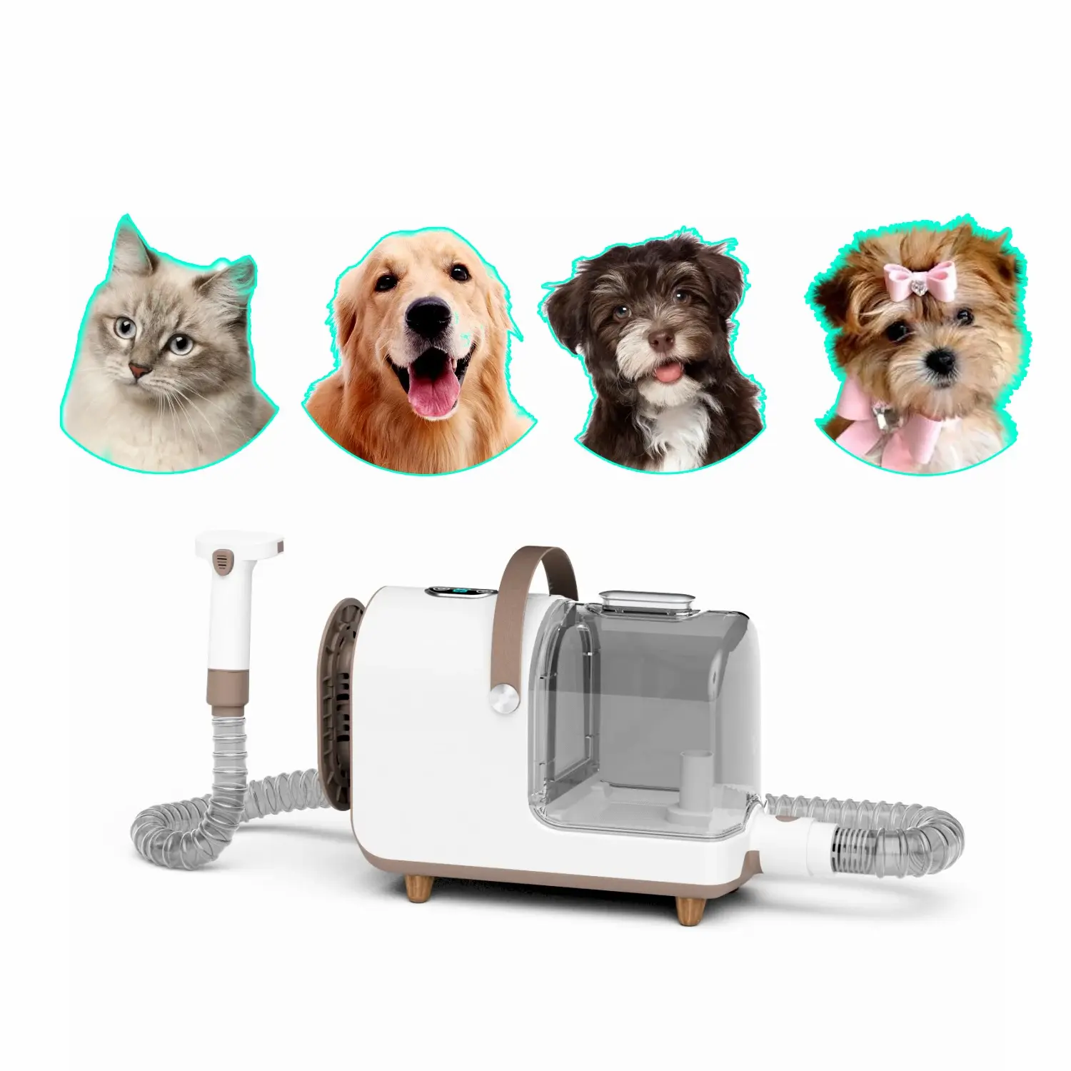 Portable pet care machine 14KPa suction 2.5L high quality Pet Grooming Products pet hair vacuum cleaner