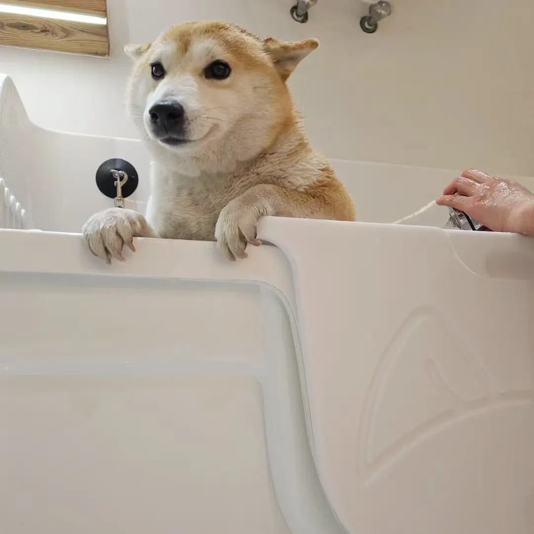 Pet Grooming Bath Tub Fiberglass Electric Lifting Tub OEM Professional Multifunctional White Acrylic Bathtub