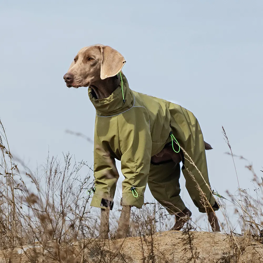 Windproof High Neck Large Dog Jacket - Outdoor Warm All-Inclusive Pet Clothing