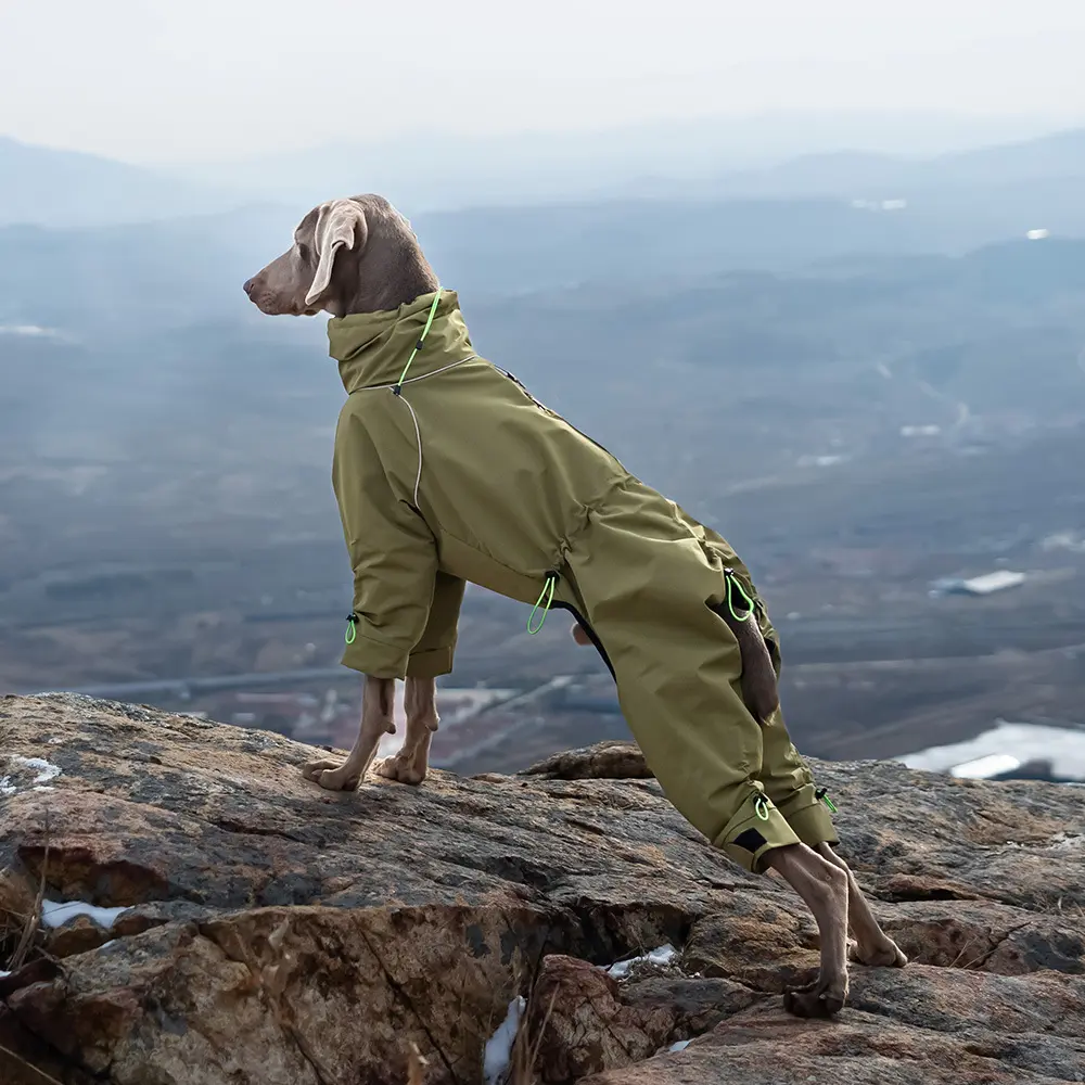 Windproof High Neck Large Dog Jacket - Outdoor Warm All-Inclusive Pet Clothing