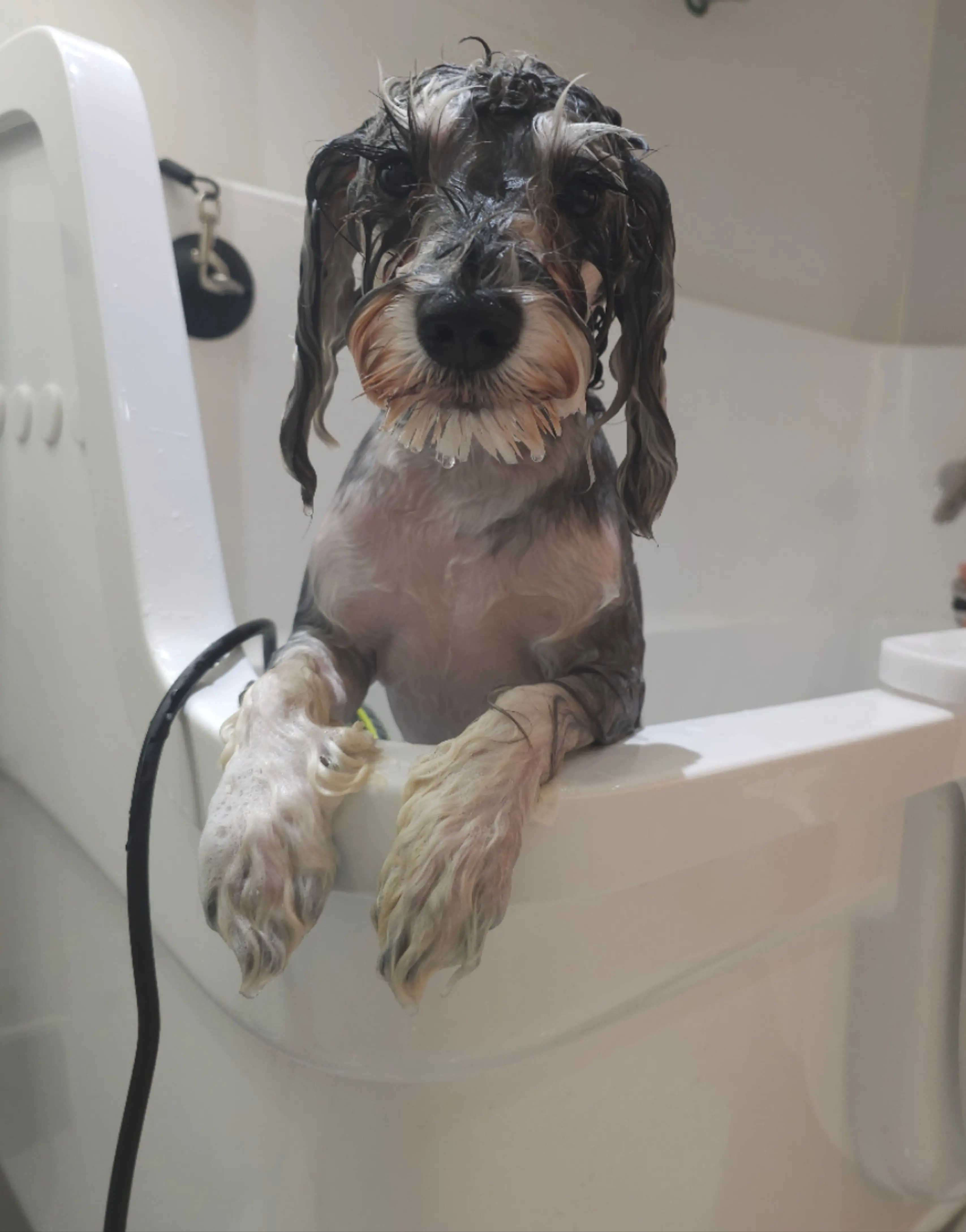 Pet Grooming Bath Tub Fiberglass Electric Lifting Tub OEM Professional Multifunctional White Acrylic Bathtub