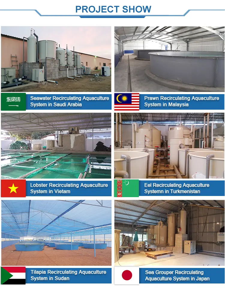 Tilapia Farming Equipment Biological Filters