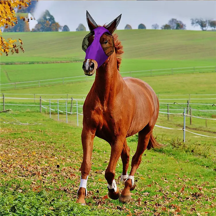 Horse Fly Mask for Moonblindness Horses With Ears and Nose Best Super Comfort Starchy Fitting Horse Fly Mask