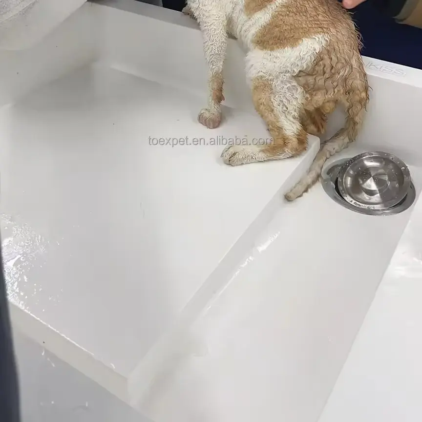New Cat Bathtub for Humans Kitten in Basin Cat in Bathtub One-piece Molded Acrylic-fiberglass Shallow Cat Bathing Basin