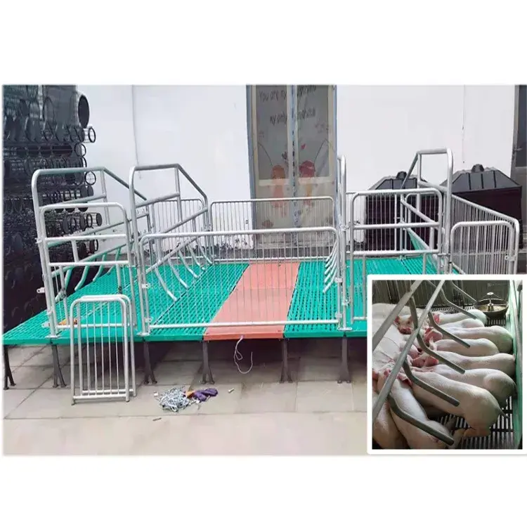 Simply operation pig/sheep/goat farming house on sale pig farming house
