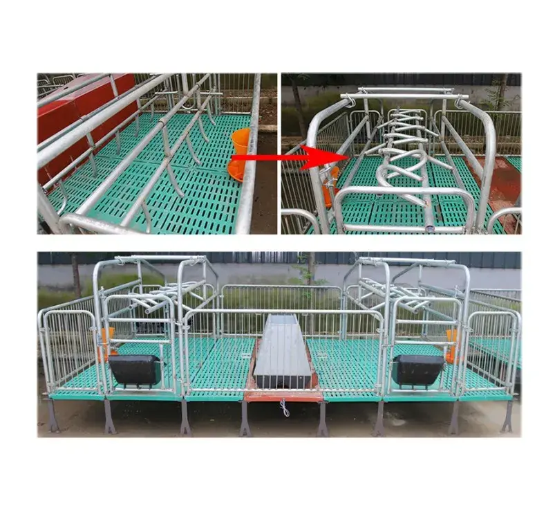 Simply operation pig/sheep/goat farming house on sale pig farming house