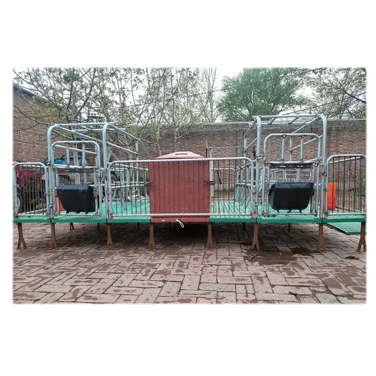 Simply operation pig/sheep/goat farming house on sale pig farming house