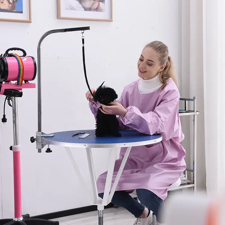 Hot Selling Small Dog Pet Grooming Table Portable Round Electric Dog Grooming Table