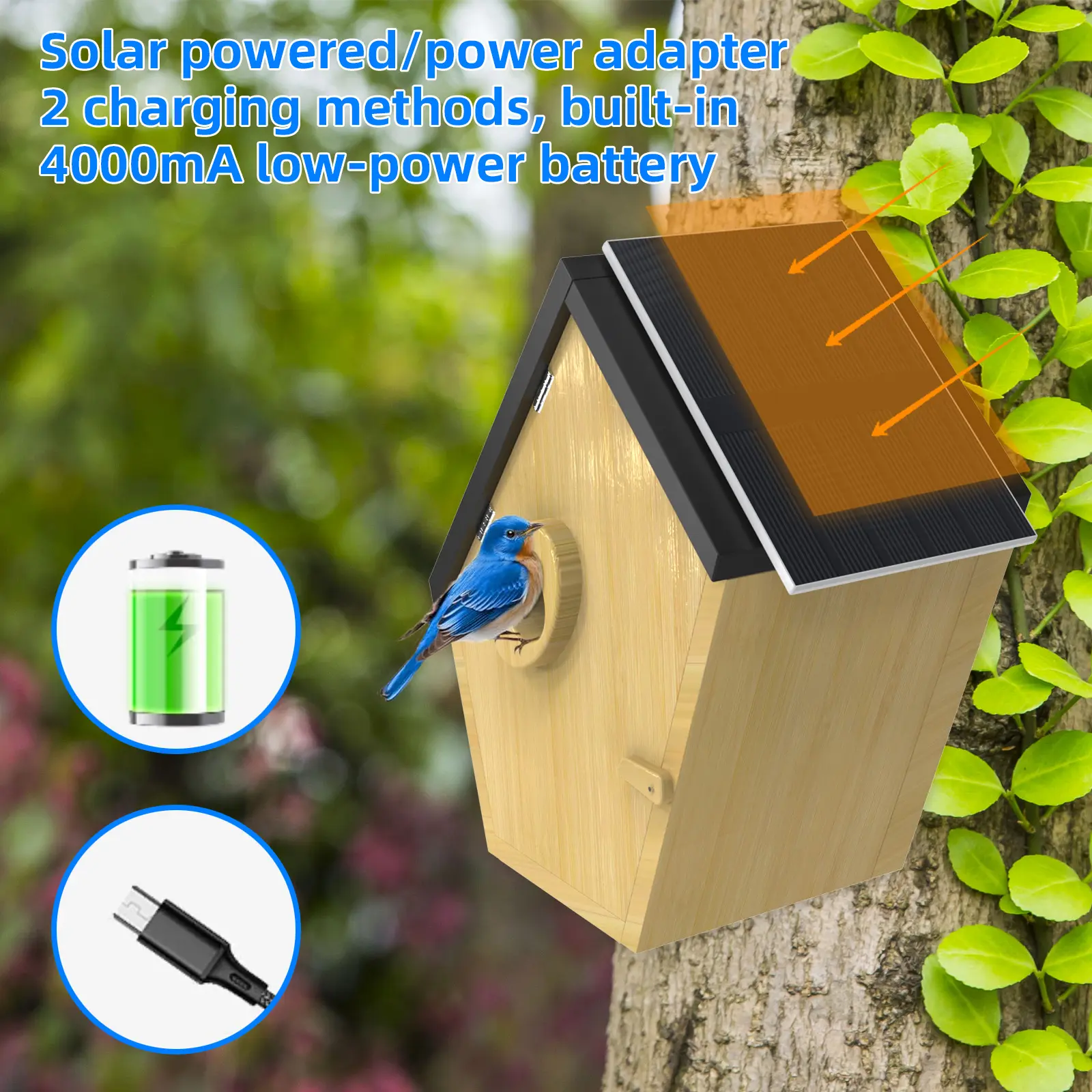Birdhouse with HD Camera  App Notify Smart Birdhouse with Nest Auto Capture Photo & Video Birdhouse Camera for Wild Bird Lovers
