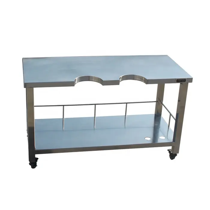 Professional Veterinary Stainless Steel Pet Surgical Table for B-mode Ultrasound Examination Vet Operating Table for Dogs