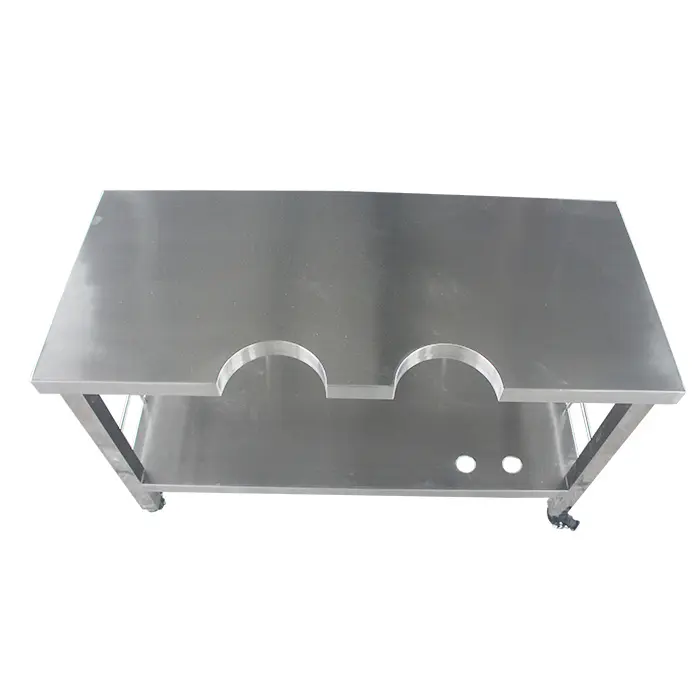 Professional Veterinary Stainless Steel Pet Surgical Table for B-mode Ultrasound Examination Vet Operating Table for Dogs