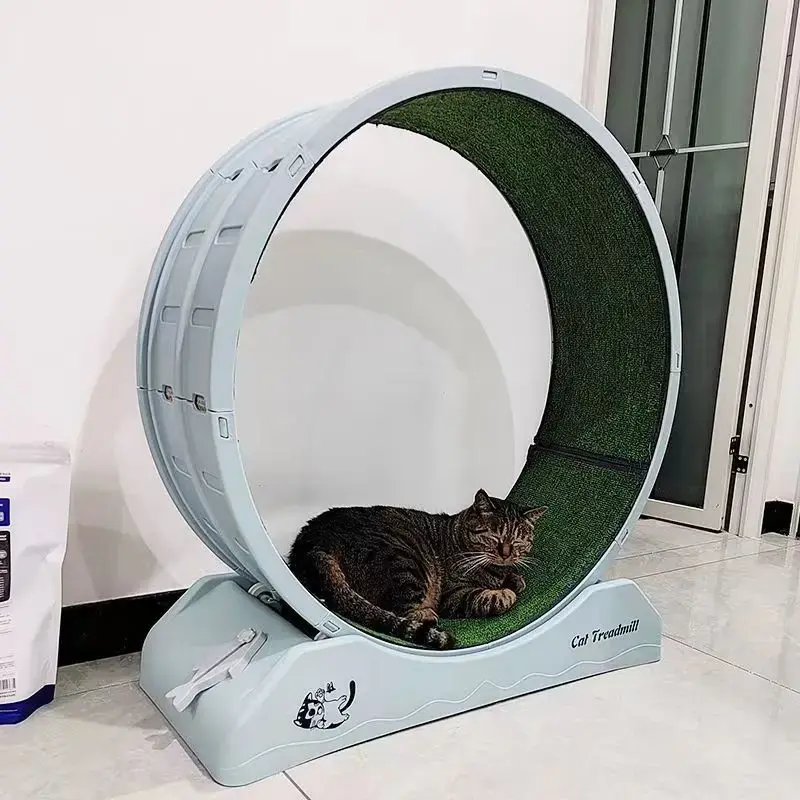 Cat treadmill safety lock stable load bearing circular cycle silent track design carefully polished