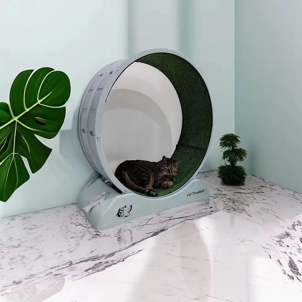 Cat treadmill safety lock stable load bearing circular cycle silent track design carefully polished