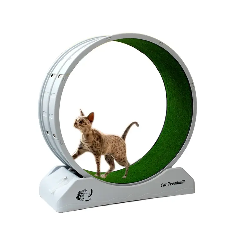 Cat treadmill safety lock stable load bearing circular cycle silent track design carefully polished