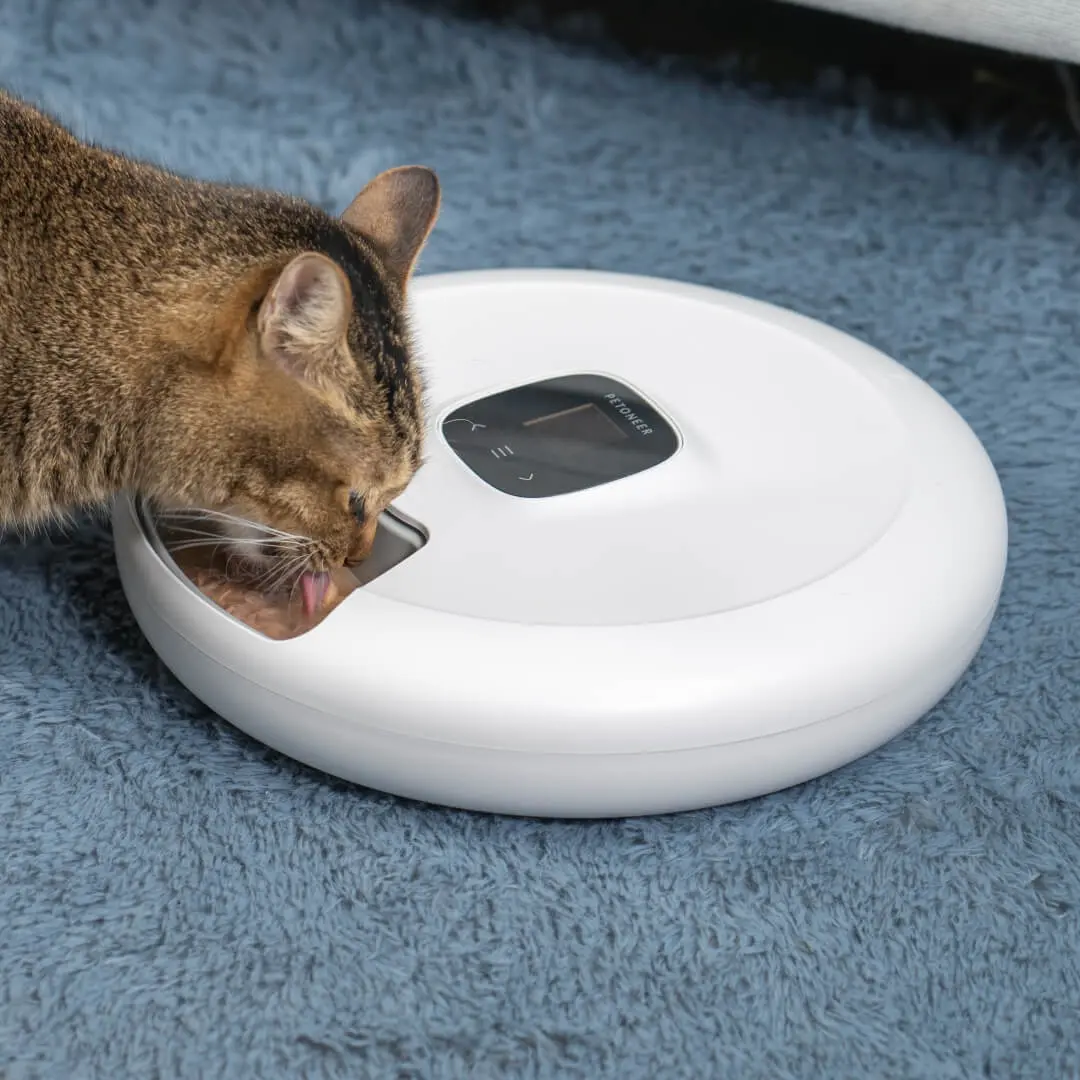 Smart Electronic Auto 6 Meal Trays Cat Dog Timed Treat Feeder Tray Automatic Pet Food Dispenser Pet Bowls Feeders