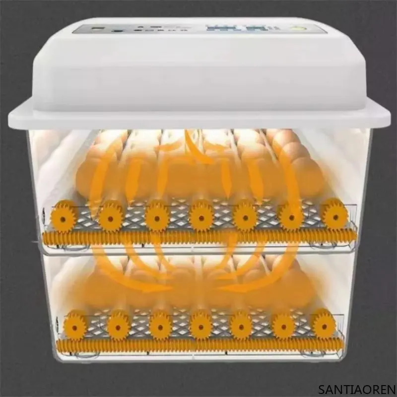 324