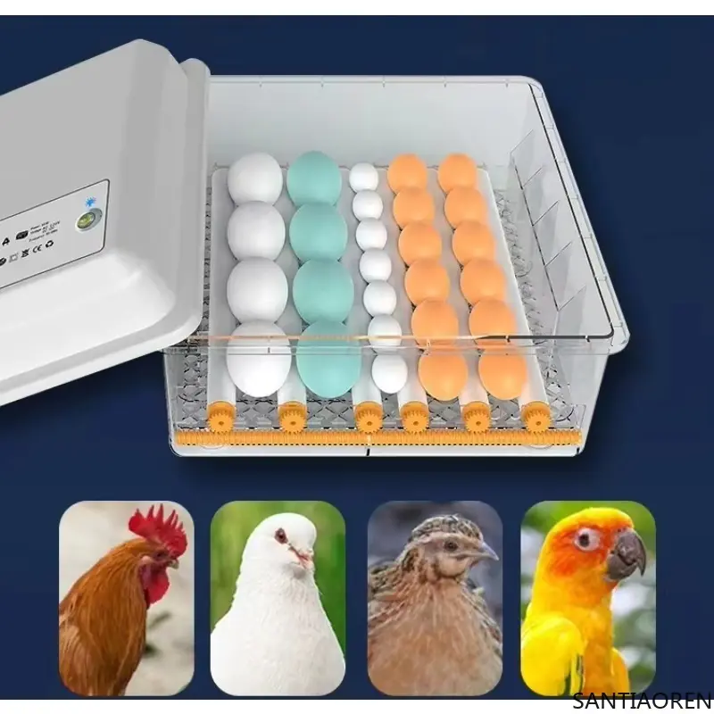 Factory Supply Double Power Automatic Egg Incubator Price