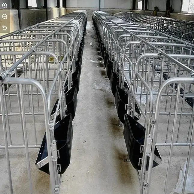 Pig Equipment Farming Positioning Bar Sow Farrowing Bed Sow Gestating Bed