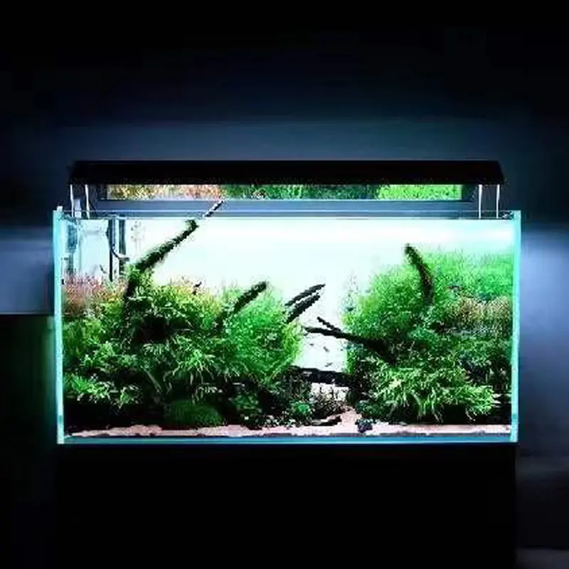 Customizable Wholesale Fish tank Led Lighting 120cm Fish tank Light Aquarium Light Fish tank