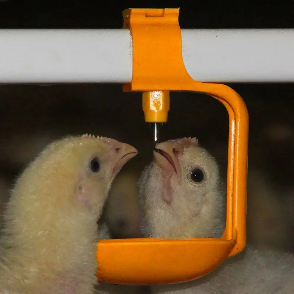 Factory sale automatic poultry nipple drinker watering feeder with CE