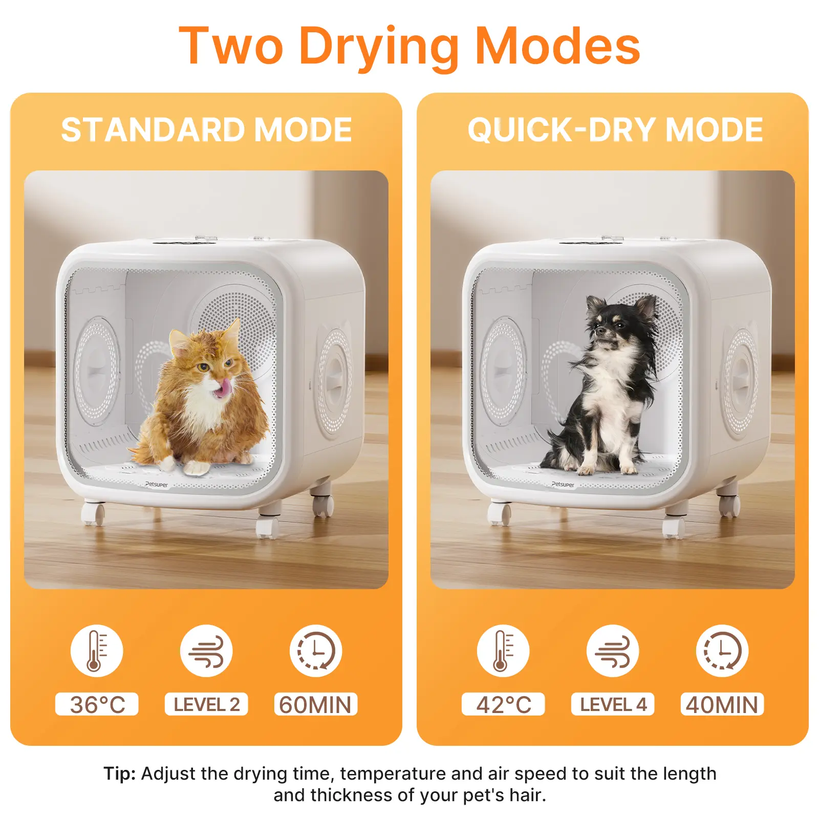 Intelligent Small Dog & Cat Dryer Machine Modern Plastic Pet Dryer with Safe Temperature Control Wholesale Hair Drying Box