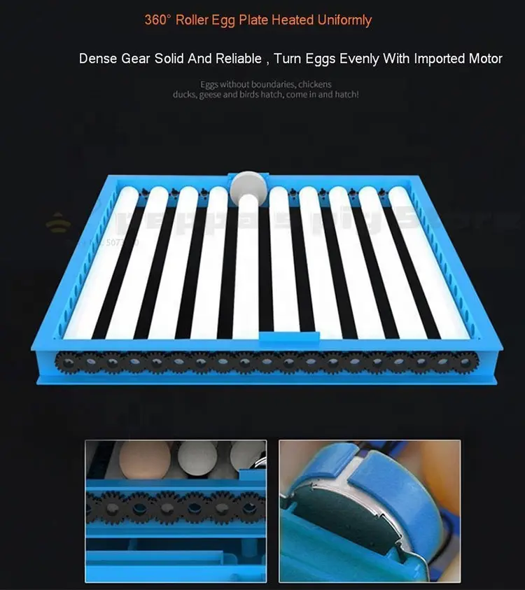 Chicken Egg Incubator and Hatchery Fully Automatic Duck Incubator for Hatching Eggs/