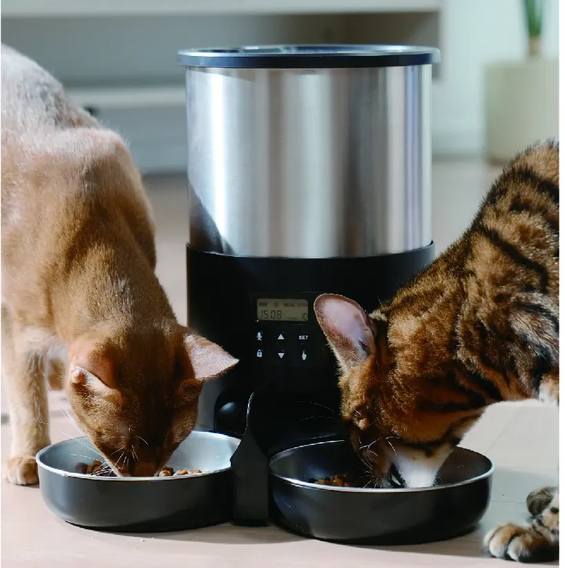 Automatic Cat Feeders for Two Cats, Pet Feeder for Cats and Dogs Timed Cat Feeder Pet Dry Food Dispenser, Black Two Meal Bowls