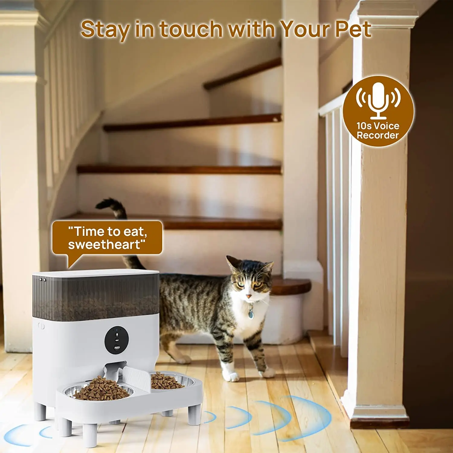 Programmable Control 4 Meals Per Day 10S Voice Recorder Auto Dry Food Dispenser Timed Control Cat Dog Pet Feeder