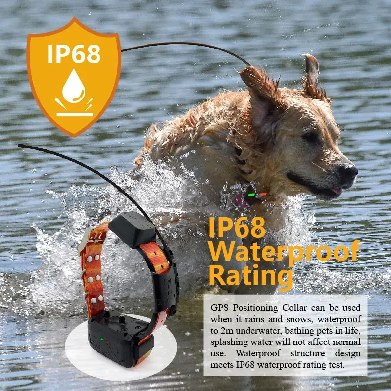 Anti-lost gps Trackers  Dog Collar Software Harness Dog GPS Pet Tracking Device With Handheld And 2 Training Collars
