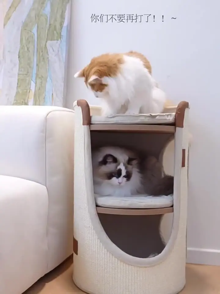Eco-Friendly Large Indoor Climb Cat Castle Cat House Scratcher with Removable Cat Shelter and Cages Three Layers of Felt Bed