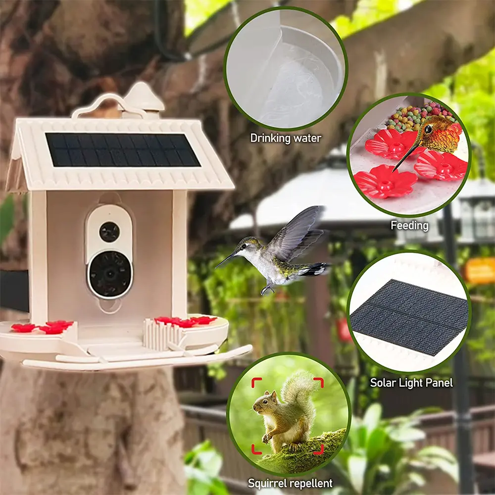 Hi Birds 1.5L 2MP Video Cameras Solar Panels Smart Humming Bird Feeder With Camera Notification Wireless Outdoor Webcam 1080p