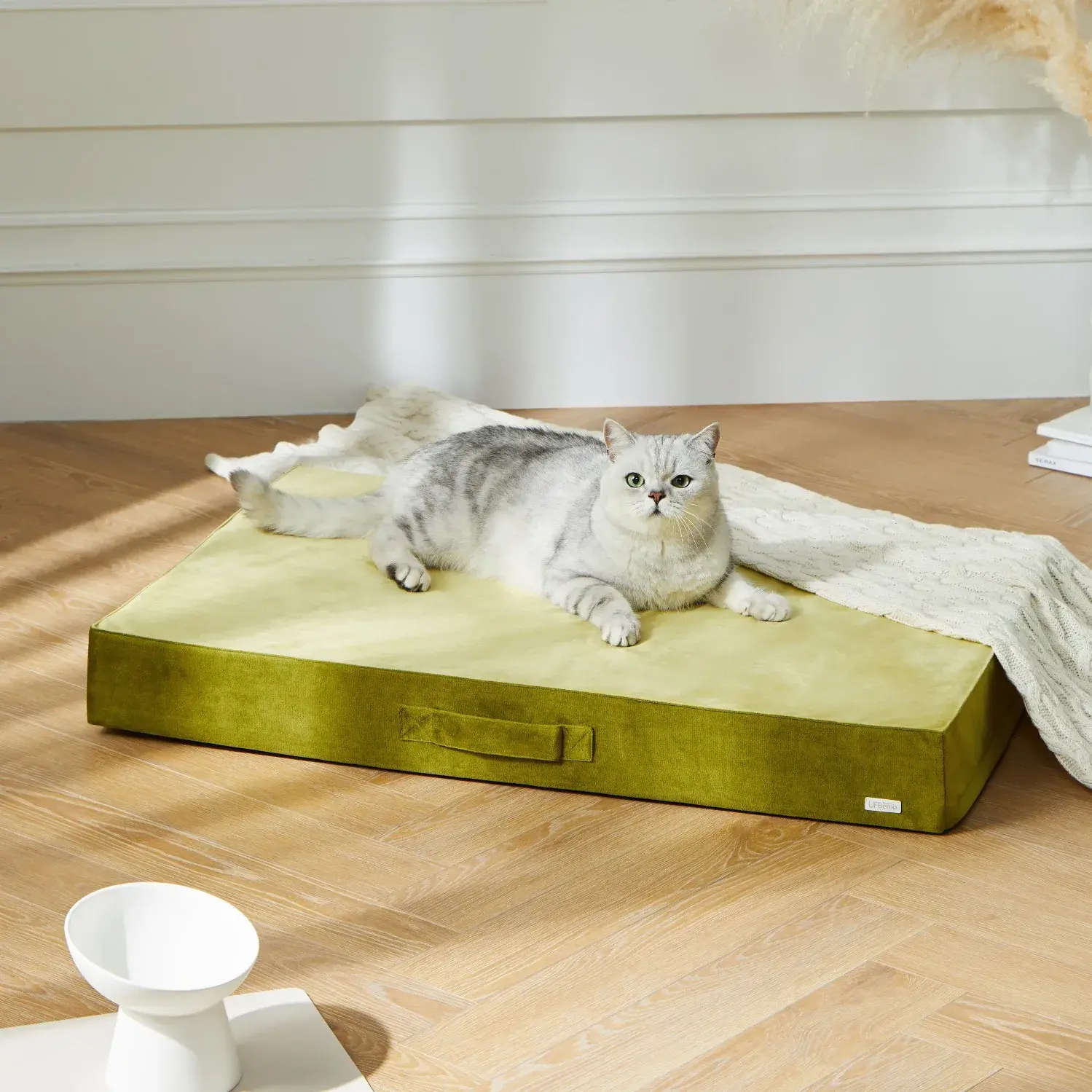 UFBemo Amazon hot sale Custom pattern Dutch Velvet Pet Litter Mat Removable Washable Outdoor Pet Supplies Dog Bed Cat Bed