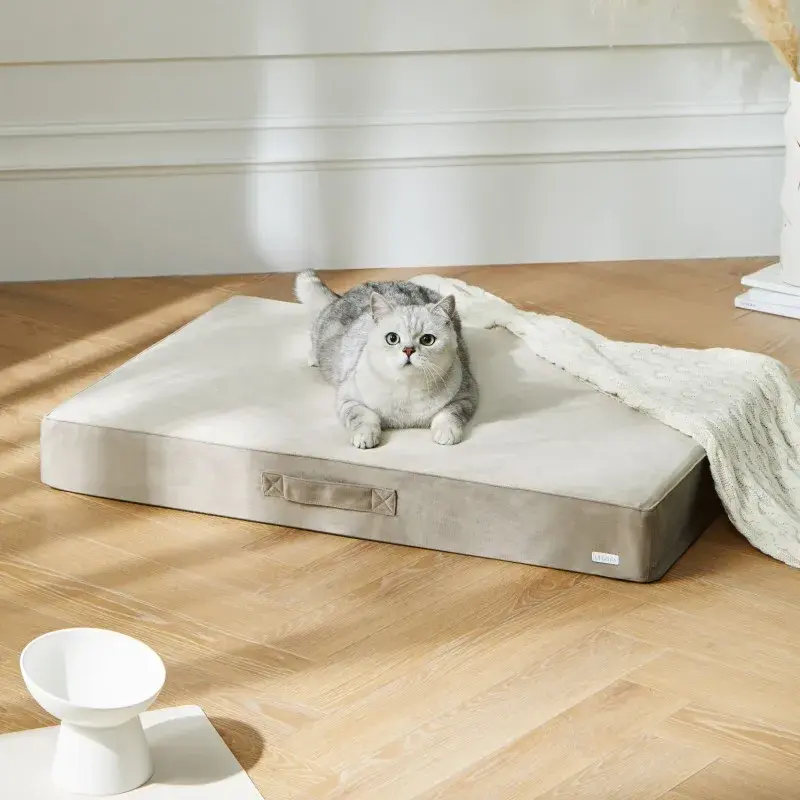 UFBemo Amazon hot sale Custom pattern Dutch Velvet Pet Litter Mat Removable Washable Outdoor Pet Supplies Dog Bed Cat Bed