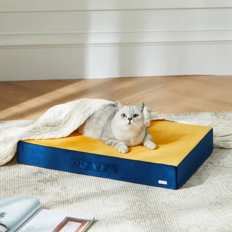UFBemo Amazon hot sale Custom pattern Dutch Velvet Pet Litter Mat Removable Washable Outdoor Pet Supplies Dog Bed Cat Bed