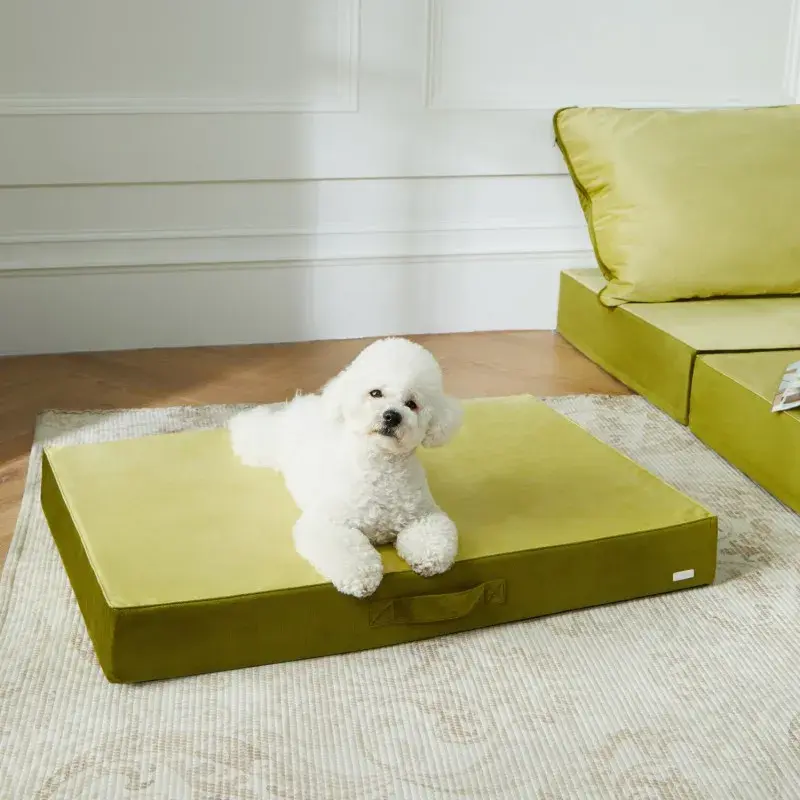 UFBemo Amazon hot sale Custom pattern Dutch Velvet Pet Litter Mat Removable Washable Outdoor Pet Supplies Dog Bed Cat Bed